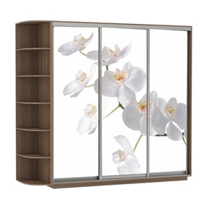 Шкаф 3-створчатый Экспресс со стеллажом, 2100х600х2200, Орхидея белая/шимо темный в Ярославле