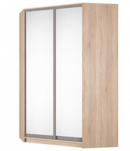 Угловой шкаф Аларти (YA-230х1400(602) (4) Вар. 4; двери D5+D5), с зеркалом в Ярославле