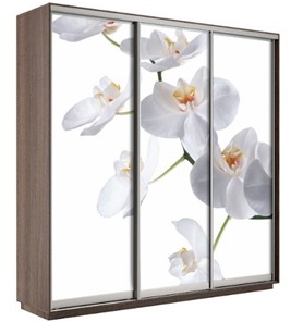 Шкаф 3-х створчатый Экспресс 2100х600х2200, Орхидея белая/шимо темный в Ярославле