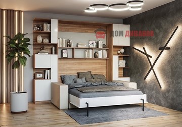 Кровать-шкаф с диваном DetalMaster Дина, 1600х2000 в Ярославле