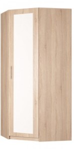 Угловой распашной шкаф Реал (YR-230х884 (9)-М Вар.1), с зеркалом в Ярославле - предосмотр