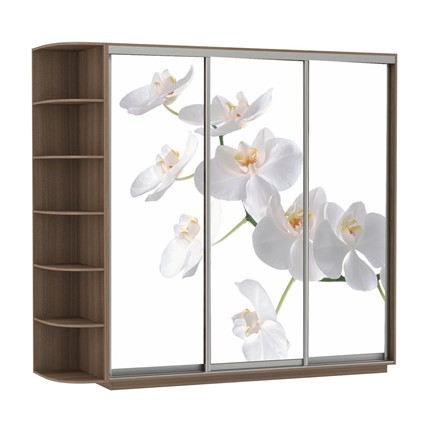 Шкаф 3-створчатый Экспресс со стеллажом, 2100х600х2200, Орхидея белая/шимо темный в Ярославле - изображение