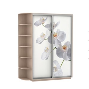 Шкаф Экспресс 1900x600x2200, со стеллажом, Орхидея белая/дуб молочный в Ярославле