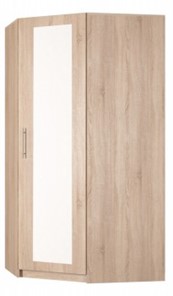 Угловой распашной шкаф Реал (YR-198х1034 (7)-М, Вар.4), с зеркалом в Ярославле - предосмотр