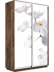 Шкаф 2-створчатый Экспресс 1400x600x2200, Орхидея белая/дуб табачный в Ярославле
