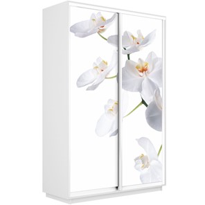 Шкаф 2-дверный Экспресс 1600x450x2400, Орхидея белая/белый снег в Рыбинске
