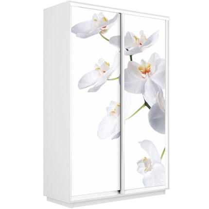 Шкаф 2-дверный Экспресс 1600x450x2400, Орхидея белая/белый снег в Ярославле - изображение