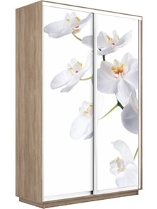 Шкаф 2-створчатый Экспресс 1600x450x2400, Орхидея белая/дуб сонома в Ярославле - предосмотр