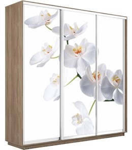 Шкаф 3-х створчатый Экспресс 1800х450х2200, Орхидея белая/дуб сонома в Ярославле