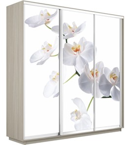 Шкаф 3-х дверный Экспресс 1800х450х2200, Орхидея белая/шимо светлый в Ярославле