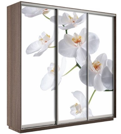 Шкаф Экспресс 1800х600х2200, Орхидея бела/шимо темный в Рыбинске - изображение