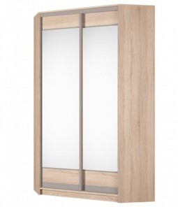 Угловой шкаф Аларти (YA-230х1250(602) (2) Вар. 5; двери D2+D2), с зеркалом в Ярославле - предосмотр