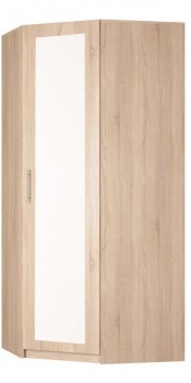 Распашной шкаф угловой Реал (YR-230х1034 (3)-М Вар.4), с зеркалом в Ярославле - изображение