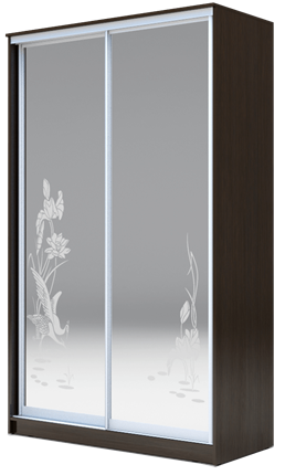 Шкаф 2-х дверный 2400х1200х620 два зеркала, "Цапли" ХИТ 24-12-66-01 Венге Аруба в Ярославле - изображение