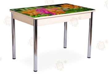 Кухонный раскладной стол Айсберг-02 СТФ, Дуб ЛДСП/полевые цветы/ноги хром прямые в Рыбинске