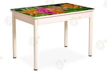 Кухонный раздвижной стол Айсберг-02 СТФ, Дуб ЛДСП/полевые цветы/ноги крашеные в Ярославле