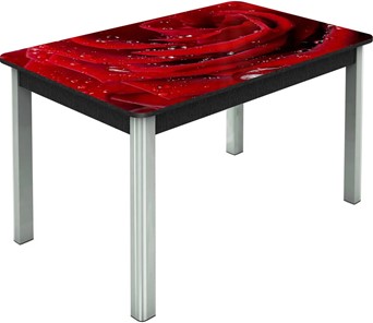 Обеденный раздвижной стол Гамбург исп. Мини, ноги метал. крашеные №23, Фотопечать (Цветы №39) в Ярославле