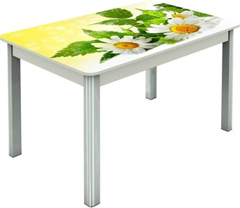 Обеденный раздвижной стол Гамбург исп.2 ноги метал. крашеные №23, Фотопечать (Цветы №3) в Ярославле