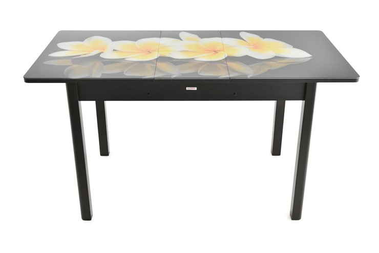 Кухонный стол раскладной Гамбург исп.2 ноги метал. крашеные №23, Фотопечать (Цветы №38) в Ярославле - изображение 7