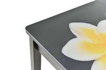 Кухонный стол раскладной Гамбург исп.2 ноги метал. крашеные №23, Фотопечать (Цветы №38) в Ярославле - предосмотр 8