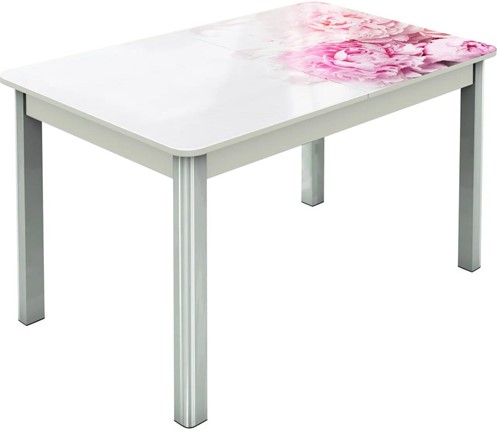 Кухонный раскладной стол Гамбург исп.2 ноги метал. крашеные №23, Фотопечать (Цветы №49) в Ярославле - изображение