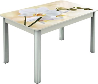 Раздвижной стол Гамбург исп.2 ноги метал. крашеные №23, Фотопечать (Цветы №5) в Ярославле