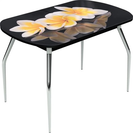 Кухонный раздвижной стол Ривьера исп.2 ноги метал. крашеные №24 Фотопечать (Цветы №11) в Ярославле - изображение
