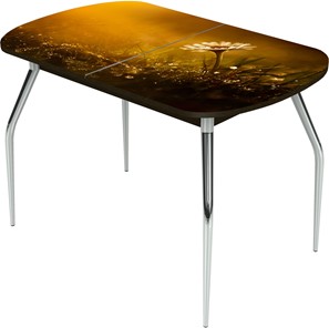 Обеденный раздвижной стол Ривьера исп.2 ноги метал. крашеные №24 Фотопечать (Цветы №43) в Рыбинске