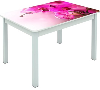 Обеденный стол Мюнхен исп. 1 ноги метал. крашеные №23 Фотопечать (Цветы №16) в Ярославле
