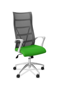 Офисное кресло для руководителя Топ X белый каркас, сетка/ткань TW / серая/салатовая в Ярославле - предосмотр