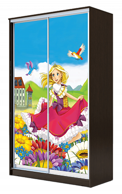 Шкаф 2-х дверный ХИТ 24-4-14-77-11, Принцесса, венге в Ярославле - изображение