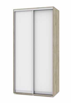Шкаф 2-х створчатый О41, Серый дуб - Белый в Ярославле - изображение