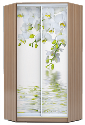 Угловой шкаф 2300х1103, ХИТ У-23-4-77-05, Белая орхидея, шимо темный в Ярославле - изображение