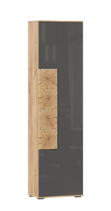Шкаф одностворчатый Фиджи с декоративными накладками 659.300, Дуб Золотой/Антрацит в Рыбинске - изображение