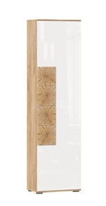 Шкаф одностворчатый Фиджи с декоративными накладками 659.300, Дуб Золотой/Белый в Ярославле