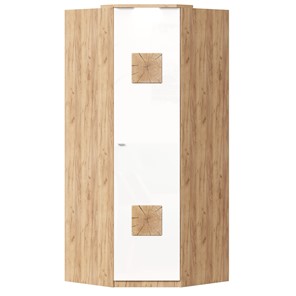 Шкаф угловой 45 с декоративной накладкой Фиджи, 659.248, белый в Ярославле - предосмотр