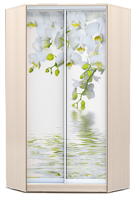 Шкаф угловой 2300х1103, ХИТ У-23-4-77-05, Белая орхидея, дуб млечный в Ярославле - изображение