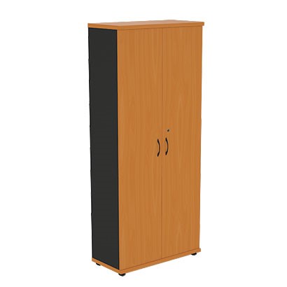 Шкаф 2-дверный Моно-Люкс R5S05 в Ярославле - изображение