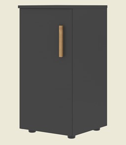 Низкий шкаф колонна с левой дверью FORTA Черный Графит FLC 40.1 (L) (399х404х801) в Ярославле - предосмотр