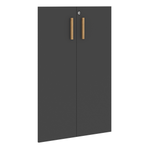 Средние двери для шкафов с замком FORTA Черный Графит FMD 40-2(Z) (794х18х1164) в Ярославле