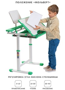 Растущая парта и растущий стул SET HOLTO-17А, зеленый в Ярославле - предосмотр 2